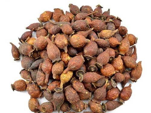 金樱子的功效与作用