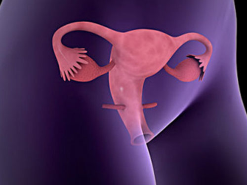 子宫内膜增厚怎么调理