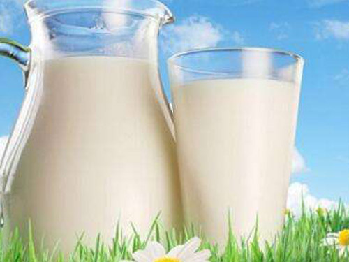 玛卡羊奶怎么样