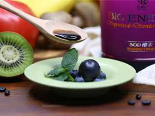 酵素的作用与功效