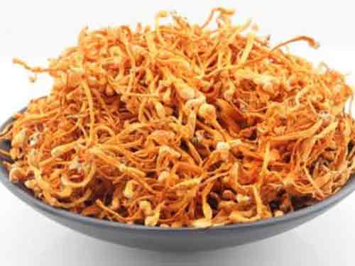 虫草菌片多少钱一盒