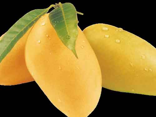 小孩吃芒果好吗