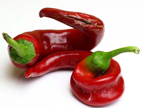 吃辣椒的好处和坏处都是什么