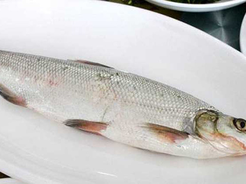 白条鱼怎么做好吃
