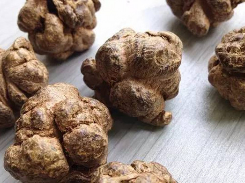 三七提取物怎么样