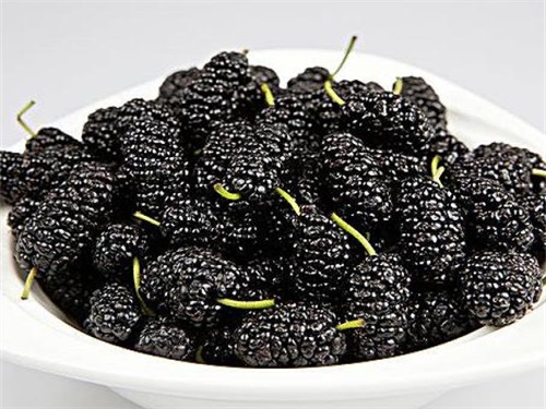 黑色的水果有哪些