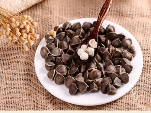 辣木籽的功效及价格