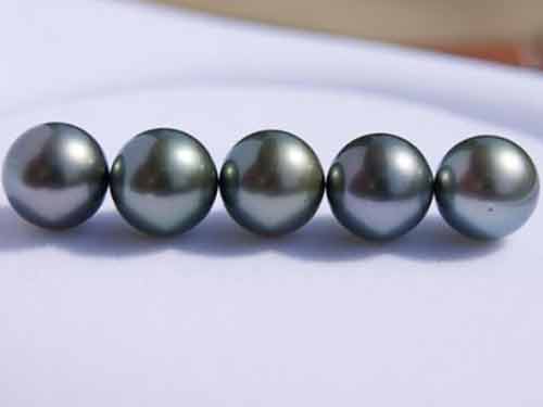 黑珍珠的价格