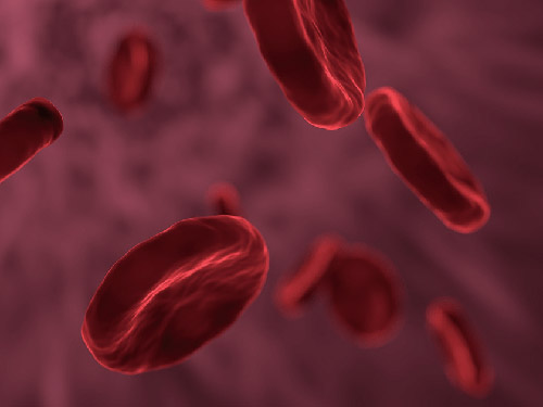 血小板太低会怎样