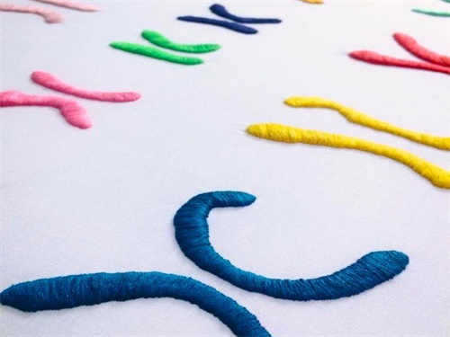 染色体异常的原因