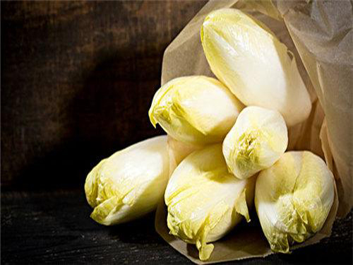 菊苣菜怎么吃 菊苣菜的吃法