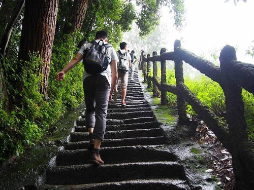 怎么能健康减???