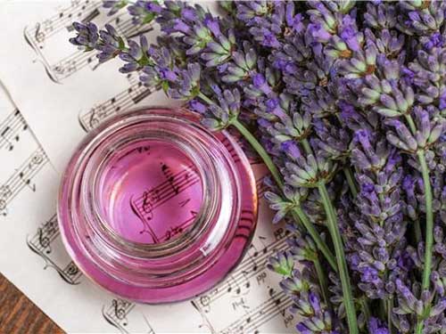 薰衣草精油的功效与作用