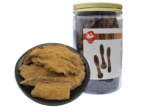 锁阳片怎么吃效果好