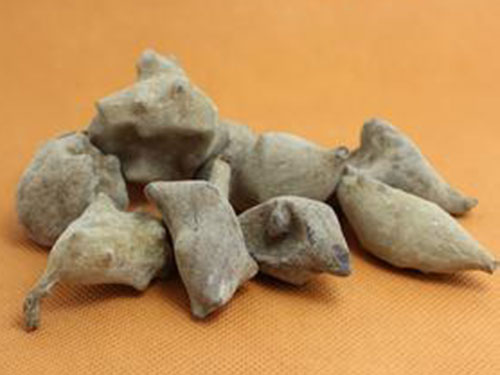 五倍子花粉功效