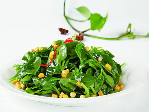 田七苗怎么吃最营养 田七苗的吃法