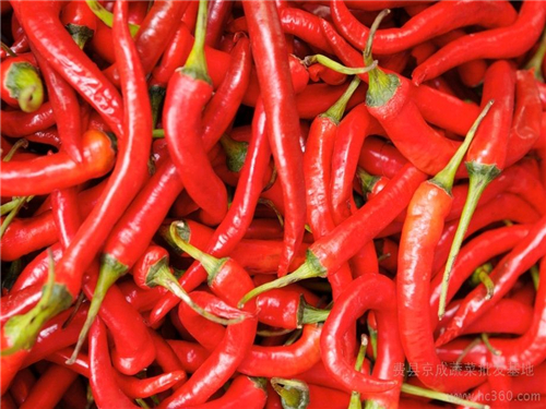 上火了吃什??降火最??