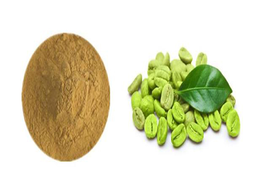 绿咖啡豆粉作用与功效