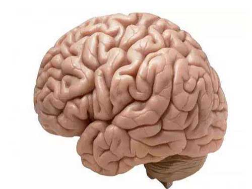 第脑白质疏松吃什么药好 第脑白质疏松症能治愈吗