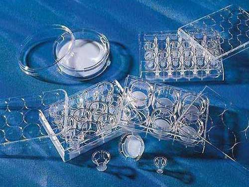 胶原培植有危害吗