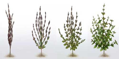 ZEDD涂抹式植萃补水面膜好用吗