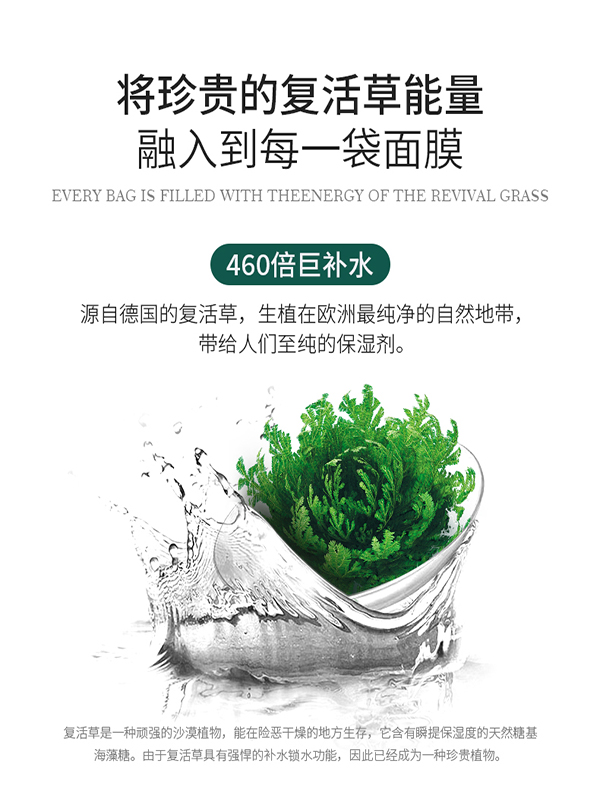 ZEDD复活草涂抹式面膜好用吗 ZEDD复活草涂抹式面膜怎么样