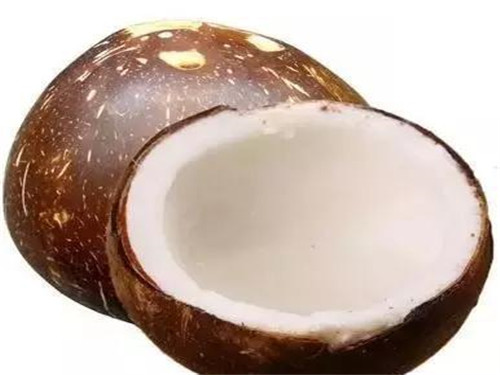 吃椰子好处