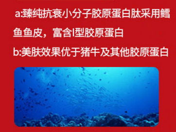 温莎之谜胶原蛋白肽——拯救流失的胶原蛋白