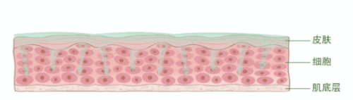 护肤还是有瓶颈？是时候来一瓶科琳卡青春定格液了
