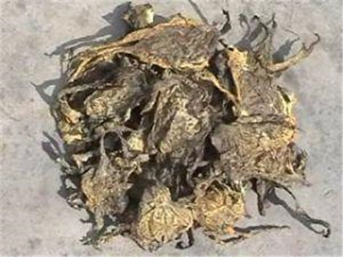 蟾蜍衣和蟾蜍皮的区别