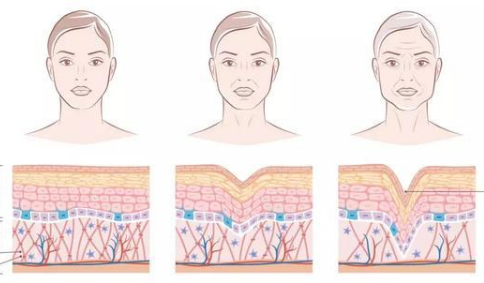 宝藏级仙格丽青春定格液，紧致补水又亮肤，让你重塑水润少女肌！
