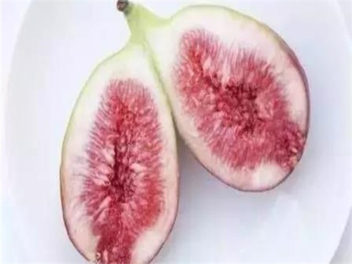 薜荔果的功效与作???