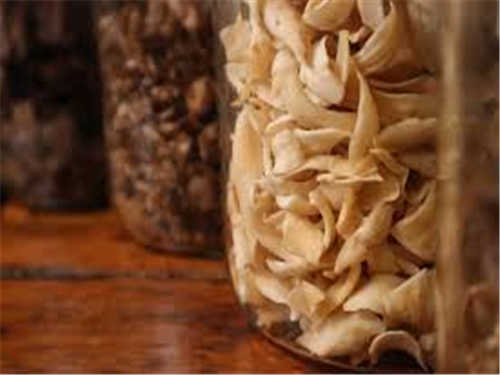 桦褐孔菌是什么 桦褐孔菌的食用方法