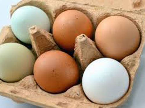 鸵鸟蛋的营养价值