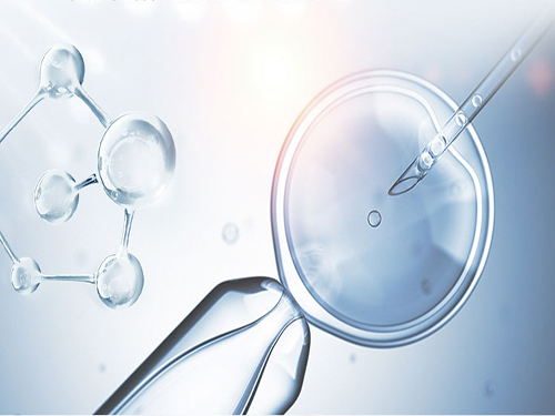 维萃美大豆活性肽，酒桌上的护身符