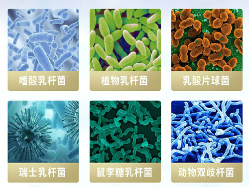 郭品超 X 维萃美蔬果轻畅酵素，品出健康美味，瘦身超群拔类