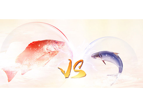 胶原蛋白排行榜！仙格丽低分子鱼胶蛋白肽喝出好肌肤