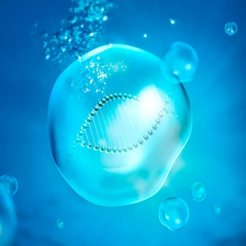 拒绝糟糕生活习惯，用仙格丽小分子肽补充胶原，回归身体年轻态