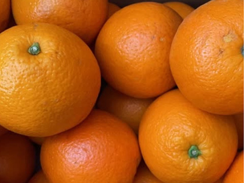 冰糖橙几月份最好吃 冰糖橙有多大