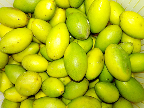 青橄榄怎么保存 青橄榄煮水功效和禁忌