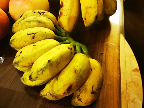 减肥能吃香蕉吗
