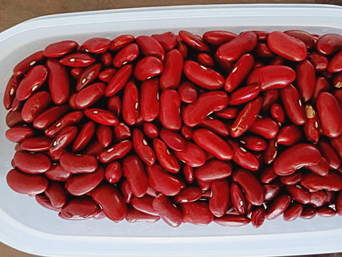 红芸豆的功效与作用 红芸豆和红腰豆的区别