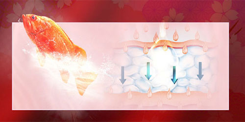 温莎之谜胶原蛋白肽，肽...肽...肽...重要了！拿出正确“肽”度学习一下