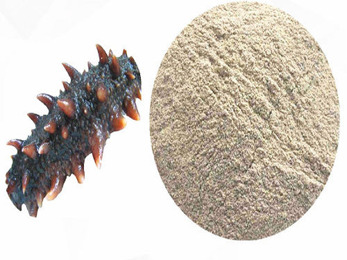 维萃美海参肽：一种全面保留营养，又能高效吸收，食用方便的海参新吃法