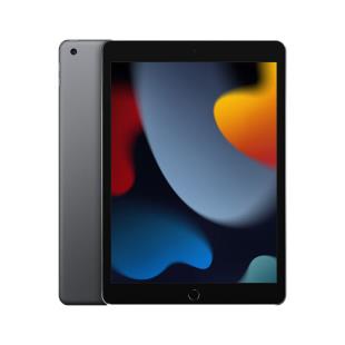 Apple iPad 10.2英寸平板电脑  第9代（256GB WLAN版/A13芯片/MK2N3CH/A）深空灰色
